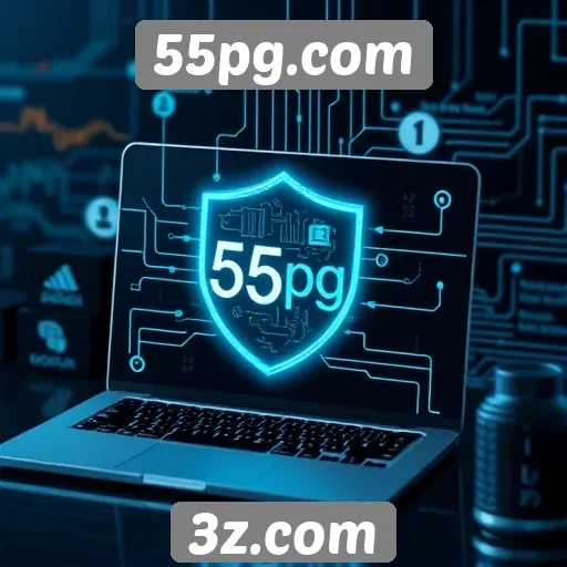 Julgamento da segurança e privacidade em 55pg.com